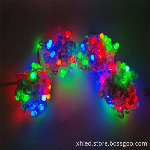 24V DC RGBW Pixel LED Point Light for Durable Outdoor Christmas Decoration